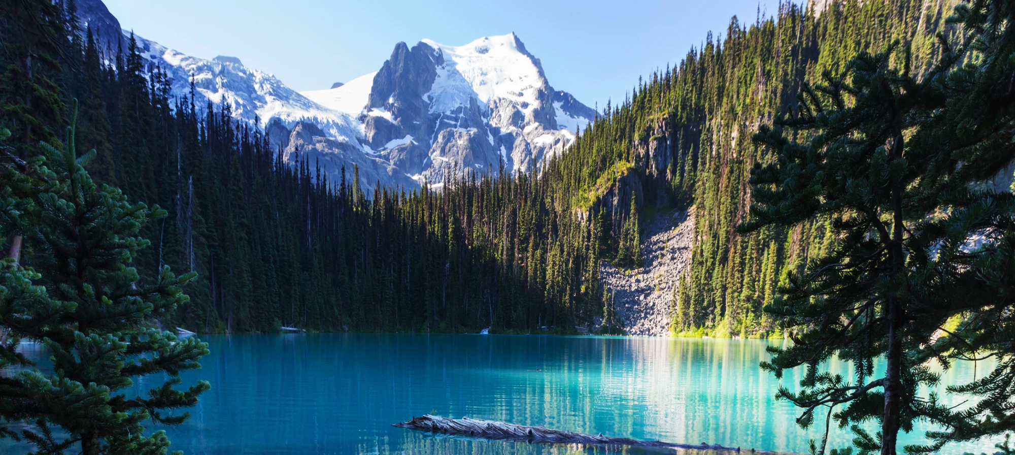 British Columbia Property Management