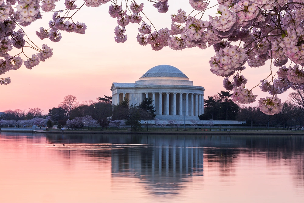 Washington DC Property Management